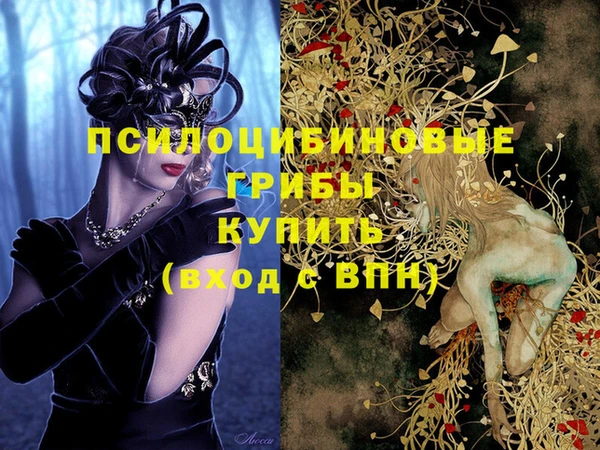 гашиш Абаза