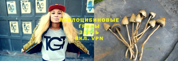 винт Протвино