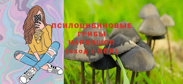 индика Абдулино