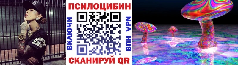 Псилоцибиновые грибы Psilocybine cubensis  Лосино-Петровский 