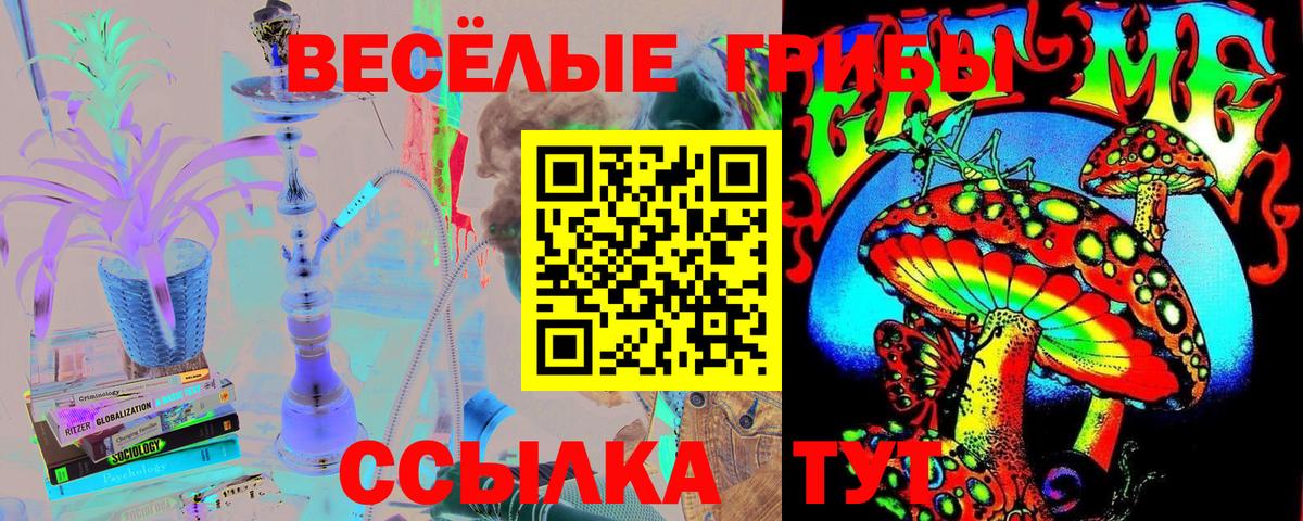 закладки  Вход с VPN  Лосино-Петровский  Галлюциногенные грибы Magic Shrooms 